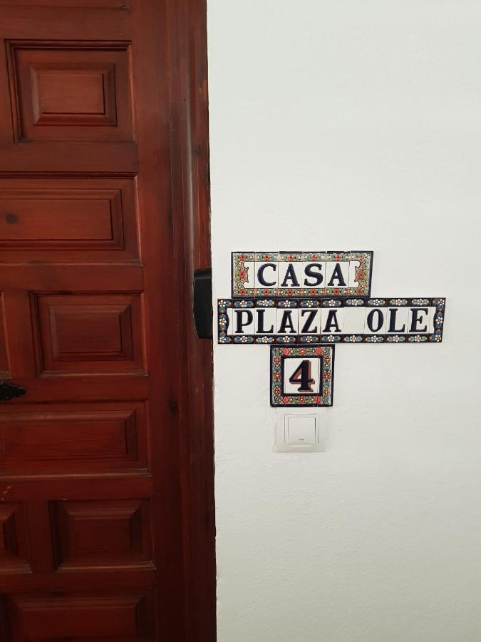 ベナルマデナCasaplazaoleアパートメント エクステリア 写真